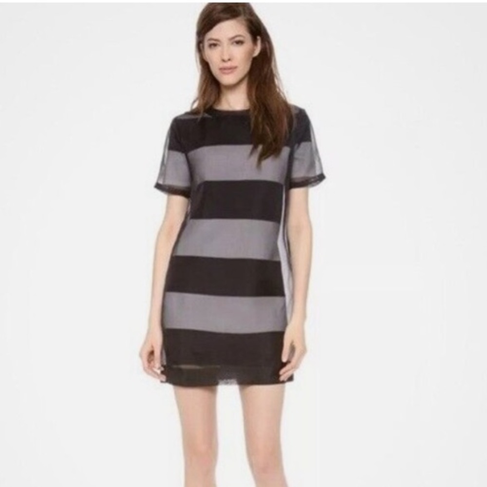 T Alexander Wang Black Organza Silk Sheer Overlay Striped Shift Dress | Medium